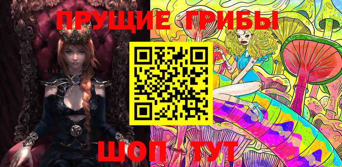 Галлюциногенные грибы Psilocybe  Вход с VPN  Галлюциногенные грибы Magic Shrooms  Нижнекамск 